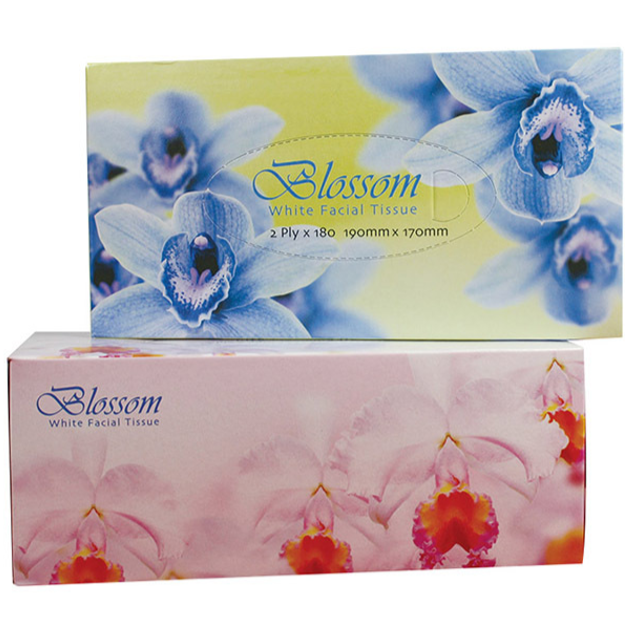 blossom-facial-tissues